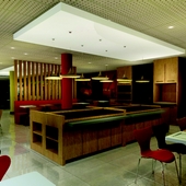 Ibis Tatuí