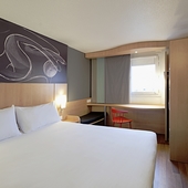 Ibis Tatuí