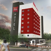 Ibis Tatuí